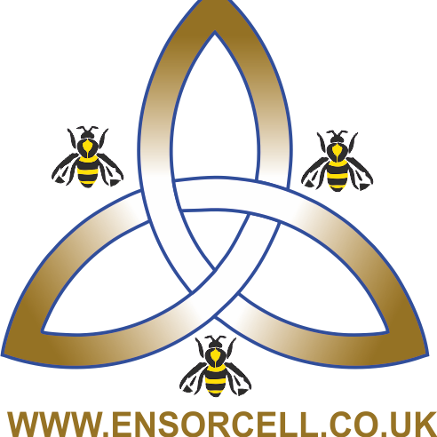 Ensorcell